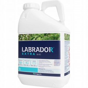 Labrador Extra 50EC 5L Środek Chwastobójczy
